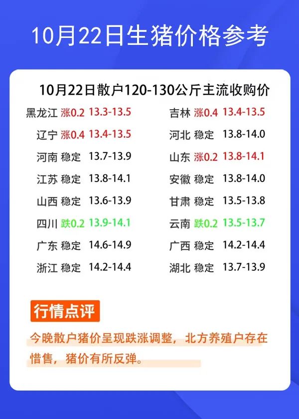 1022ir(ji)񅢿